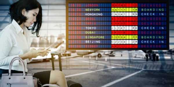 What To Do If Your Flight is Cancelled or Delayed? Manage Things Wisely