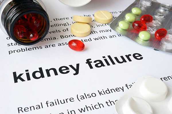 Researching Natural Treatment Strategies for Kidney Disease